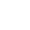 Vision icon