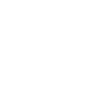 Secure Data Handling icon