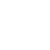 Custom Solutions icon